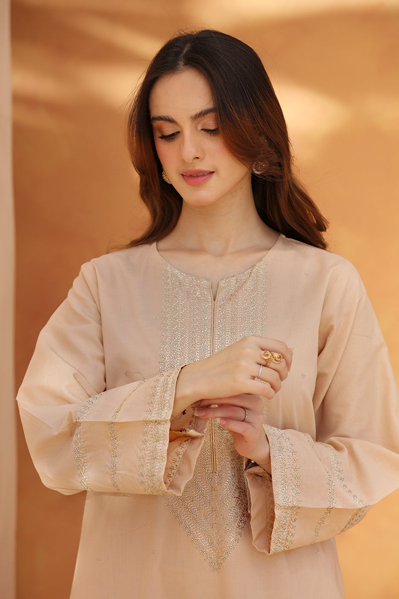 2 Piece - Embroidered Beige Lawn Suit