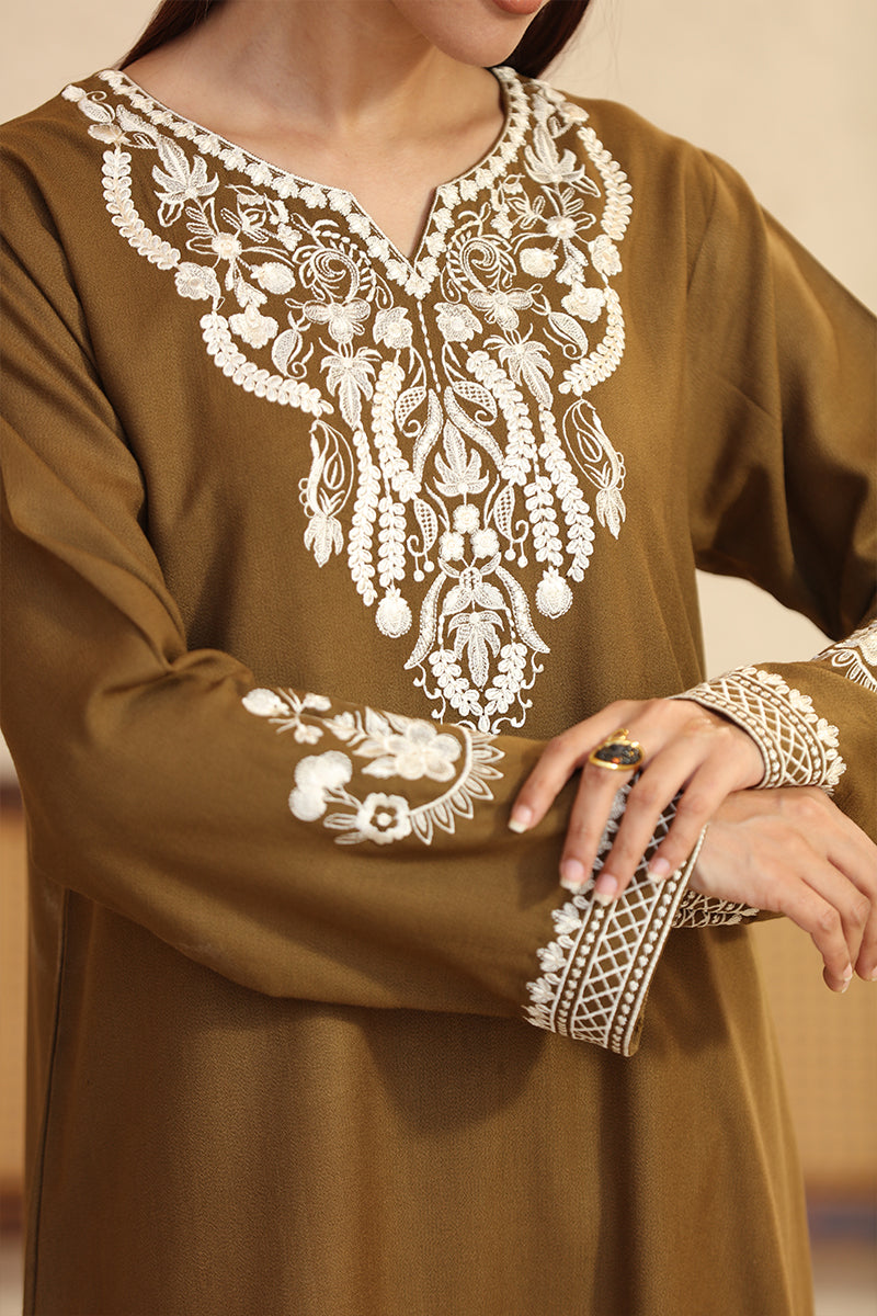 Brown dress with intricate white embroidery on a blurred background